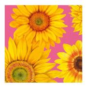 Ihr - Servetti Sunflower 33x33 cm 20 kpl