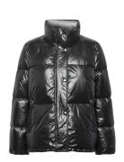 D1. Cropped Down Jacket Vuorillinen Takki Topattu Takki Black GANT