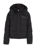 Monologo Non Down Short Puffer Vuorillinen Takki Topattu Takki Black C...