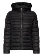 Feminine Lw Down Jacket Vuorillinen Takki Topattu Takki Black Tommy Hi...