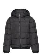 Light Padded Shield Jacket Toppatakki Black GANT