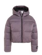 Hyper Two T Padded Bomber Toppatakki Purple Calvin Klein