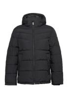 Puffer Jacket With Hood Vuorillinen Takki Topattu Takki Black Tom Tail...