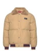 Archive Padded Bomber Vuorillinen Takki Topattu Takki Beige Penfield