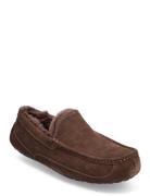 M Ascot Aamutossut Tohvelit Brown UGG