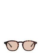 Todd Aurinkolasit Brown Corlin Eyewear