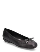 D Annytah Ballerinat Black GEOX