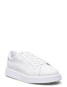 Angeline Iv Action Leather Sneaker Matalavartiset Sneakerit Tennarit W...