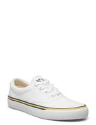 Logo Cotton Canvas Sneaker Matalavartiset Sneakerit Tennarit White Pol...