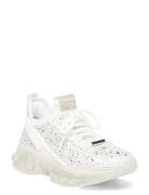 Maxima-R Sneaker Matalavartiset Sneakerit Tennarit White Steve Madden