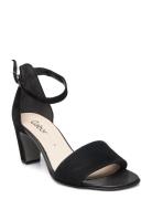 Ankle-Strap Sandal Korolliset Sandaalit Black Gabor