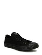 Chuck Taylor All Star Matalavartiset Sneakerit Tennarit Black Converse