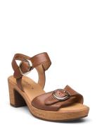 Ankle-Strap Sandal Korolliset Sandaalit Brown Gabor