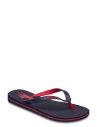 Eva-Bolt-Sn-Csl Flipflopit Rantasandaalit Sandaalit Blue Polo Ralph La...