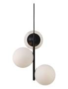 Lilly / Pendant Home Lighting Lamps Ceiling Lamps Pendant Lamps Black ...