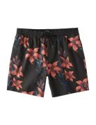 Sundays Layback Uimashortsit Black Billabong