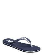Eva-Bolt-Sn-Csl Flipflopit Rantasandaalit Sandaalit Blue Polo Ralph La...
