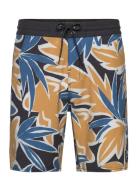 Og Print 18" Cruzer Uimashortsit Multi/patterned O'neill