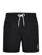 Classic Dot Uimashortsit Black Santa Cruz