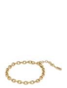 Anker Bracelet Rannekoru Korut Gold Samie