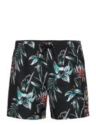 Mix & Match Cali Print 15'' Swim Shorts Uimashortsit Black O'neill