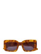 West Havana Black Neliönmuotoiset Aurinkolasit Brown Corlin Eyewear