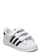 Superstar Cf I Sport Sneakers Low-top Sneakers White Adidas Originals