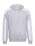 Squadra21 Sweat Hoody Sport Sweat-shirts & Hoodies Hoodies Grey Adidas...