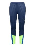 Individualcup Training Pants Sport Sport Pants Navy PUMA