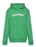 Hilfiger Arched Hoodie Tops Sweat-shirts & Hoodies Hoodies Green Tommy...