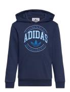 Hoodie Sport Sweat-shirts & Hoodies Hoodies Navy Adidas Originals