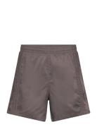 M Fash Sprin Sh Sport Shorts Sport Shorts Brown Adidas Originals