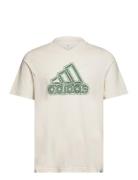 M Growth Bos T Sport T-shirts Short-sleeved Beige Adidas Sportswear