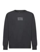 Cnvb Relaxed Jersey Solid Ls / Cnvb Relaxed Jersey Solid Ls Tops Sweat...