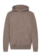 Saka Oth Hoody Tops Sweat-shirts & Hoodies Hoodies Brown AllSaints