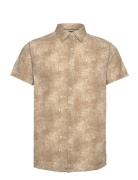 Inlibra Tops Shirts Short-sleeved Beige INDICODE