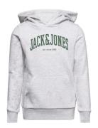 Jjejosh Sweat Hood Sn Jnr Tops Sweat-shirts & Hoodies Hoodies Grey Jac...