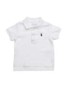 Soft Cotton Polo Shirt Tops T-shirts Short-sleeved White Ralph Lauren ...