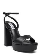 Lessa Sandal Korolliset Sandaalit Black Steve Madden