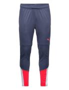 Individualcup Training Pants Sport Sport Pants Blue PUMA