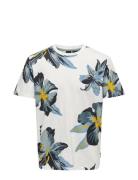 Onsklop Reg Ss Floral Tee Noos Tops T-shirts Short-sleeved White ONLY ...