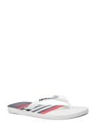 Hav. Top Nautical Flipflopit Rantasandaalit Sandaalit White Havaianas