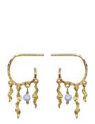 Bayou Earrings Korvakoru Korut Gold Maanesten