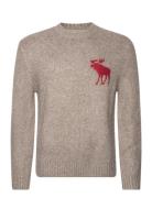 Anf Mens Sweaters Tops Knitwear Round Necks Beige Abercrombie & Fitch