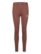 Tf Hyglm T Sport Running-training Tights Brown Adidas Performance