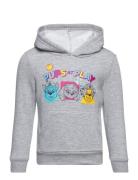 Sweat Kangourou Tops Sweat-shirts & Hoodies Hoodies Grey Paw Patrol