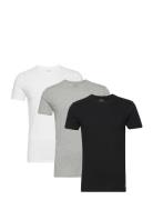 Slim Crewneck 3-Pack Tops T-shirts Short-sleeved Black Polo Ralph Laur...