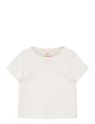 Rib Jersey T-Shirt Tops T-shirts Short-sleeved Cream Copenhagen Colors