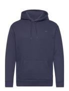 Hco. Guys Sweatshirts Tops Sweat-shirts & Hoodies Hoodies Blue Hollist...