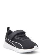 Flyer Flex Ac Inf Matalavartiset Sneakerit Tennarit Black PUMA